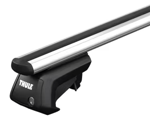 Thule-Dachträger